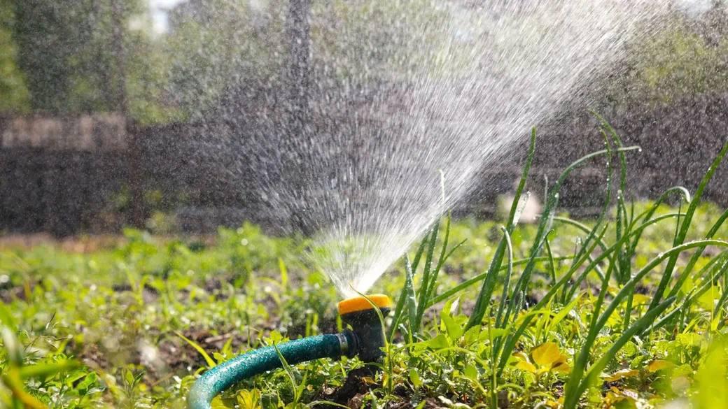 ГУП «Вода Запорожья» просит абонентов частного сектора сократить потребление воды на полив приусадебных участков.