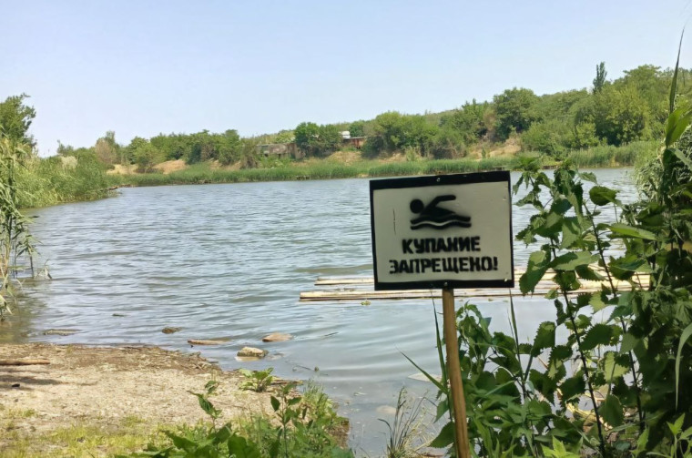 Купание в водоемах Васильевского муниципального округа запрещено. Купание в водоемах Васильевского муниципального округа запрещено.
